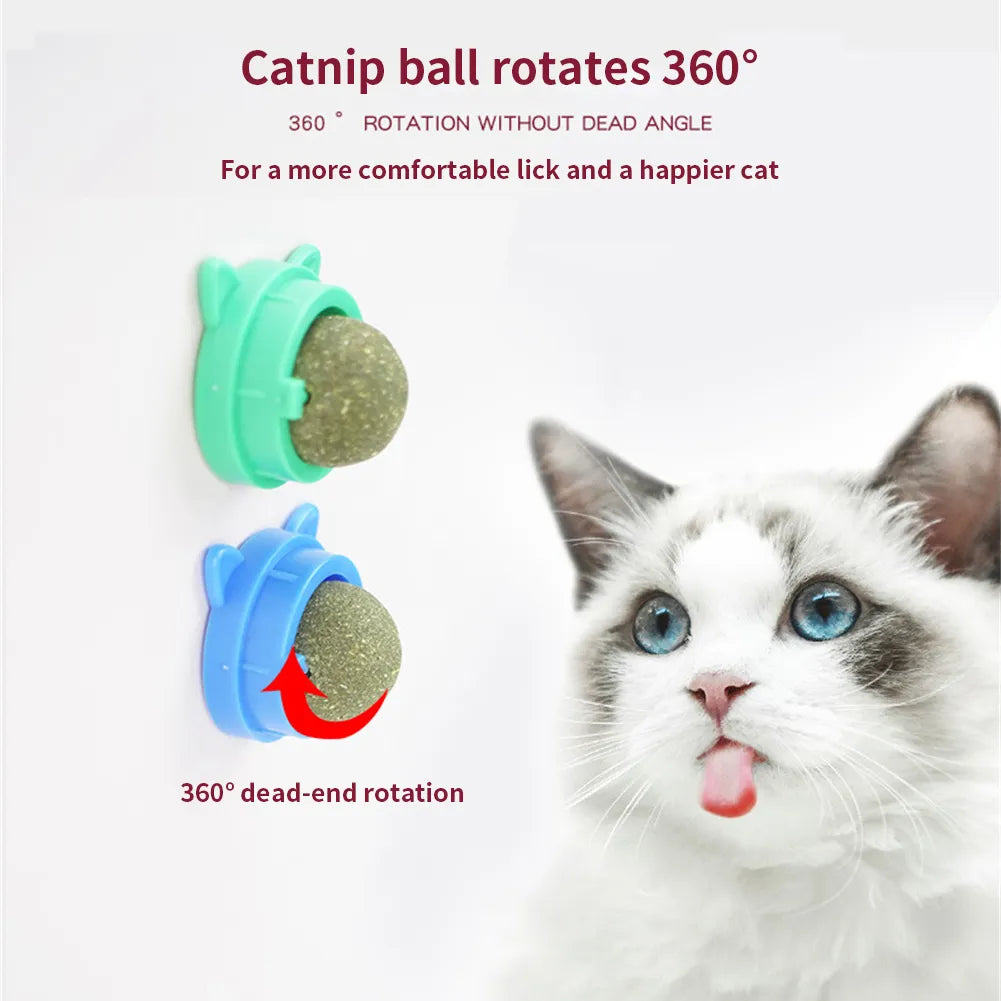 Catnip Wall Ball