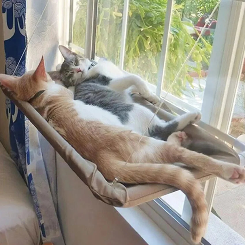 Cat Cozy Hammock
