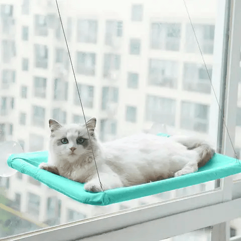 Cat Cozy Hammock